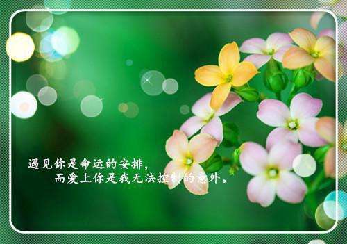 王沂孙：齐天乐·蝉