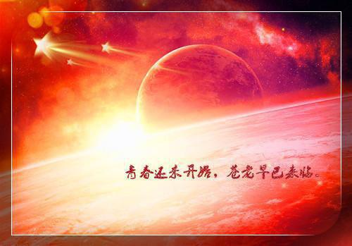 全娱乐圈都以为我是嗲精全文阅读 作者魔安
