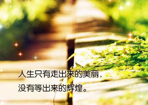 六年后带着萌宝强势归来小说 罗依依沈敬岩霸宠阅读