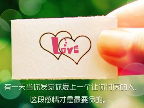 从王者归来凰天飞舞小说最新章节阅读