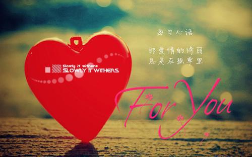 豪门娇妻：陆少心尖宠小说 豪门娇妻：陆少心尖宠免费阅读