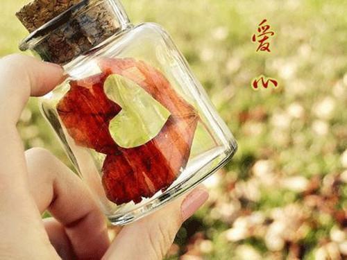 替嫁后，郁先生黏她上瘾全本小说替嫁后，郁先生黏她上瘾免费章节阅读