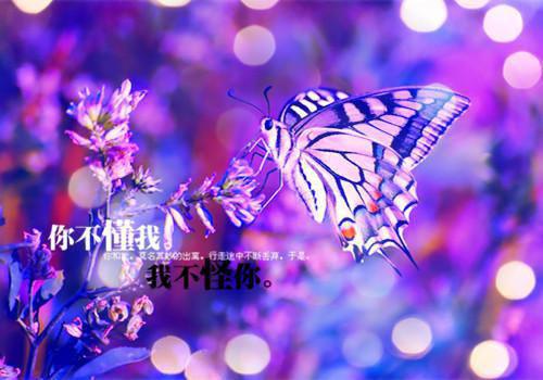 《九零年代，我把垃圾变成宝》完结小说(全文在线阅读)