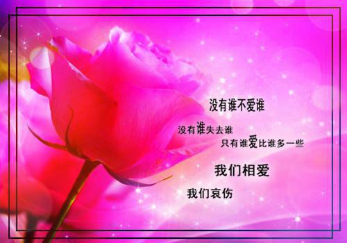 反套路穿成女配后拿主角剧本小说顾晓婉孟阡启无删减阅读