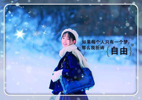 神医绝宠王妃要休夫免费小说叶卿歌,冯明殷全章节阅读