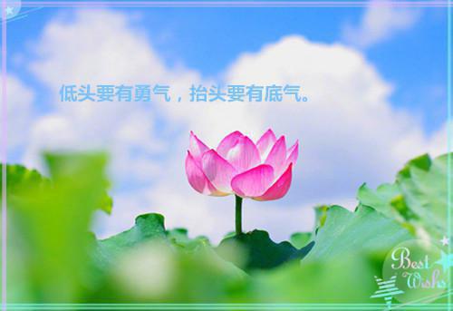 权妃天降腹黑世子赖上门小说苏漫舞顾司深重生章节阅读