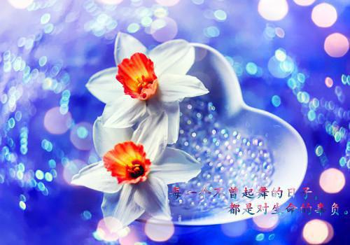 (爽文)娱乐辅助系统林然武潇月小说目录阅读