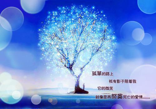 再见君时已倾心小说全本 宣妧顾睿完结篇阅读