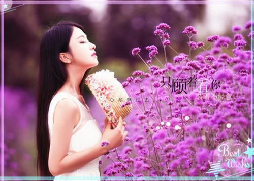 我是三羊写的小说女总裁的贴身保镖张阳小说全文阅读