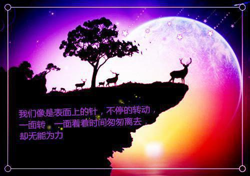 八荒剑神云泪天雨在线阅读-八荒剑神全文免费阅读