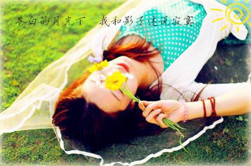 郭晓陆年小说 陆年郭晓如若相爱不自知全文阅读