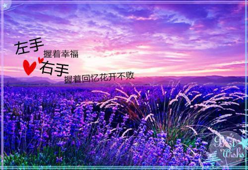 感谢老师毕业感言范文（通用5篇）