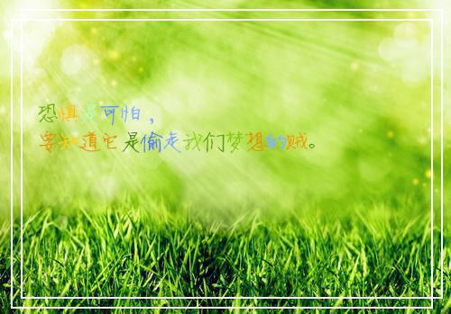 无敌姑爷张言起来搬砖小说最新章节阅读