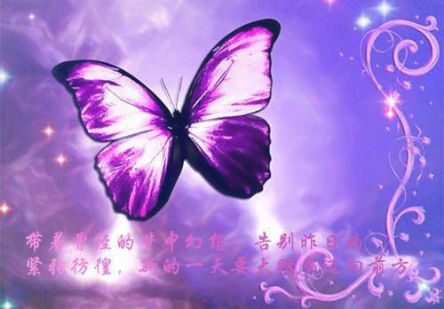 妻子的无情背叛小说全文免费阅读_妻子的无情背叛阅读