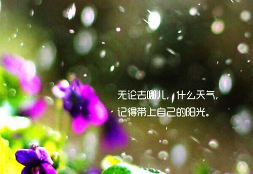 宋霜序沈聿（过分野）全文阅读完整版_过分野小说免费阅读大结局（宋霜序沈聿）