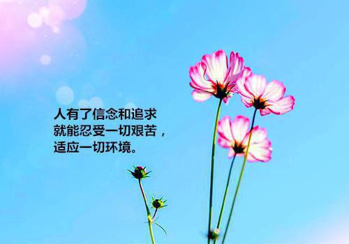 高考前励志名言