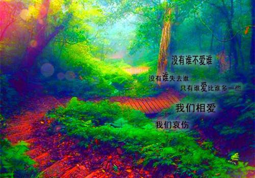 元旦放假通知8篇