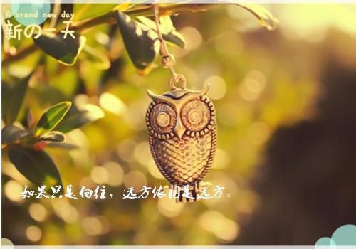 女主沈慕知男主傅谨安小说 催泪情如炼狱一生难逃阅读