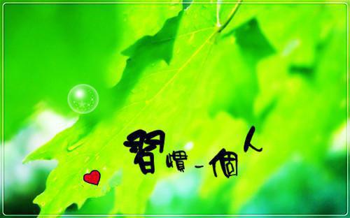 小说寒门状元by天子全文阅读