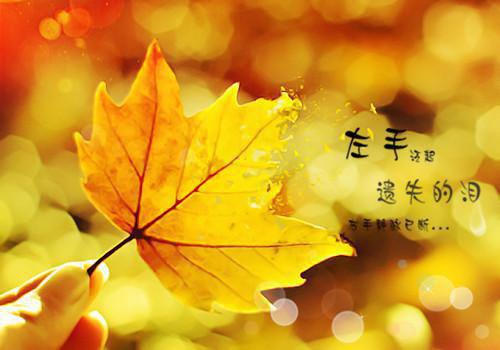 霸爱成瘾总裁养女成妻温言穆霆琛全文阅读 作者柠檬味的猫