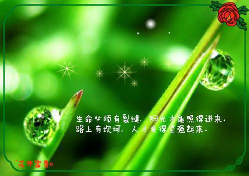 爆款小说甜茶好甜《冷家娇萋是大佬》在线阅读