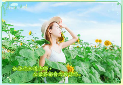 爆款小说特种兵王全文免费阅读