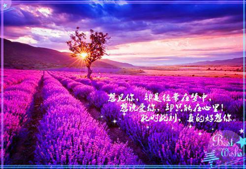 最新小说典雅书楼免费阅读
