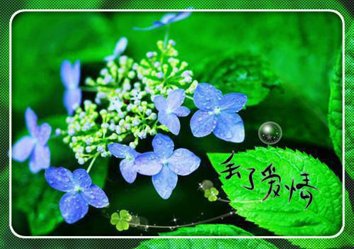 你们宠假欺真？我驯服暴君炸翻全家锦瑟小说（你们宠假欺真？我驯服暴君炸翻全家锦瑟）完整版阅读-你们宠假欺真？我驯服暴君炸翻全家锦瑟小说全文无删减版
