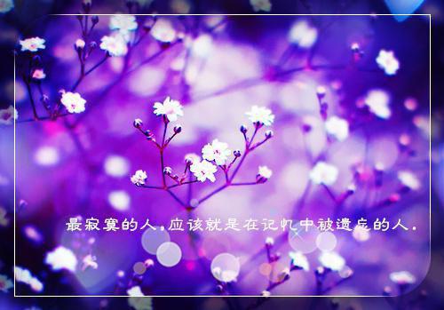 雷锋作文800字