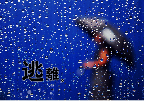 一千零一个愿望读后感