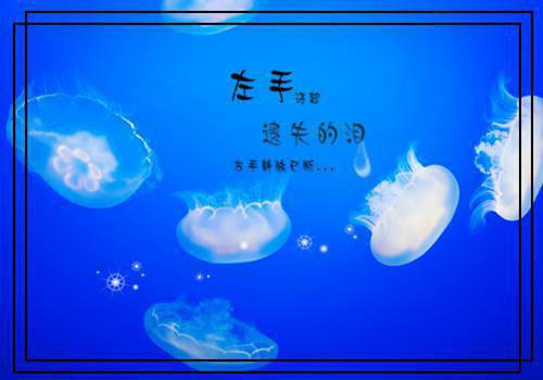 闪婚缠情腹黑狼少深深爱小说苏柠萌周皓宇整本阅读