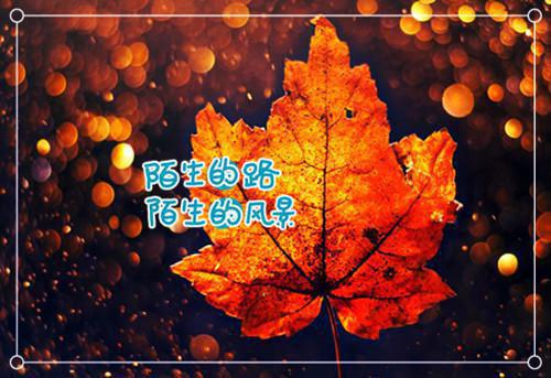 全文小说缘分让我们相聚目录免费阅读