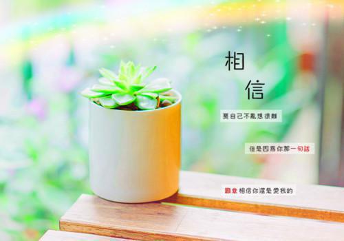 三毛：随风而去