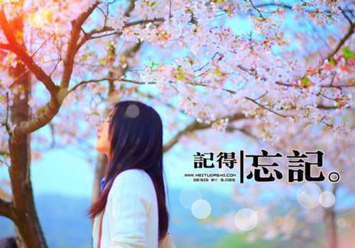 厉少，夫人已经把你休了全文阅读 惜雅章节阅读