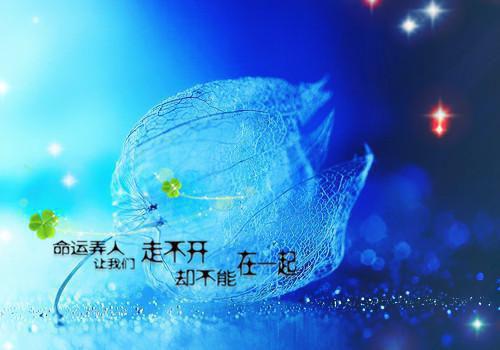 异世全能奶爸小说(玄幻)乔末乔芙凌熙完整版阅读
