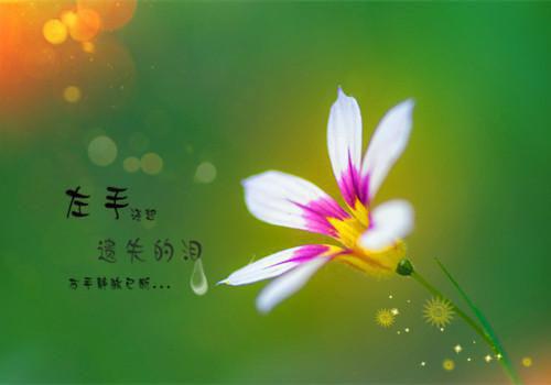 冰心：无限之生的界线