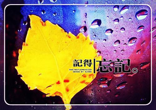 战破天际热血小说徐孤薛雨完整版阅读