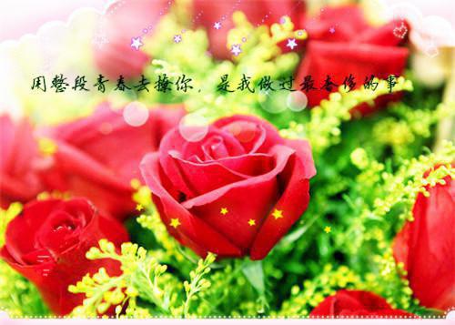 玄幻被干死一千次之后我举世无敌小说泠秋阁齐盛章节阅读