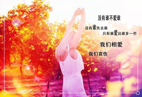 《离婚后前妻成了万人迷》完结小说(全文在线阅读)