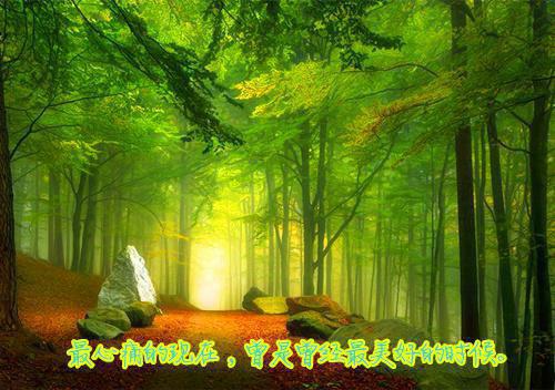 甜蜜的情话