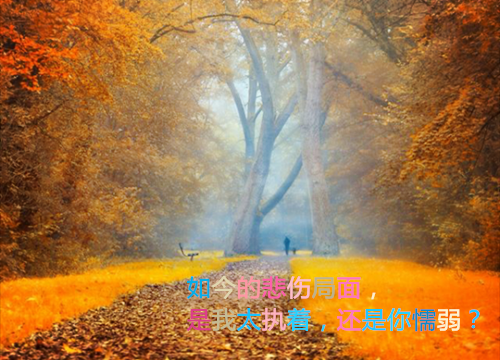 依瑜的小说太子妃训夫有道容纤纤慕景完结版阅读