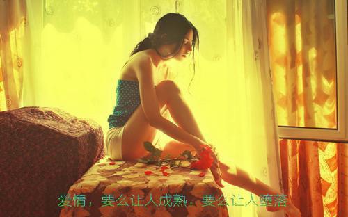 金主的小白兔全文小说沈幸年顾政目录