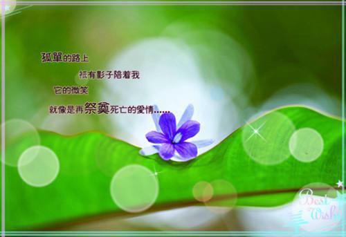 宋兮颜 陆从之全文（宋兮颜陆从之）全文免费阅读_宋兮颜 陆从之全文（宋兮颜陆从之）最新章节列表