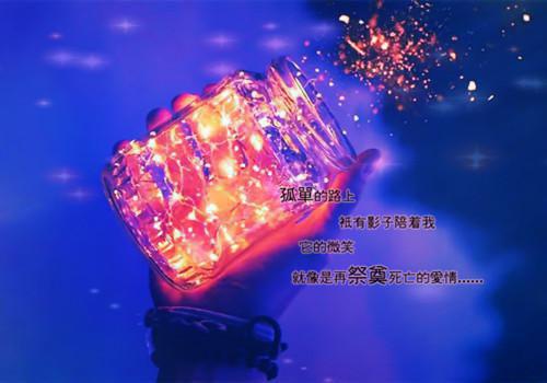 夫人是朵黑莲花小说全集 叶以桑桓岭无弹窗阅读