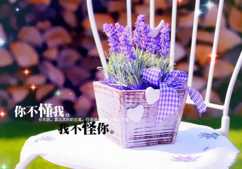 时光里的我和你小说全文桑榆未晚免费阅读