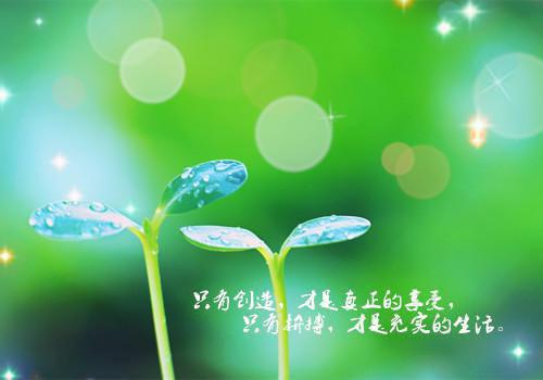 不死终将出头小说(明星)牧晨希苏雪梅章节阅读