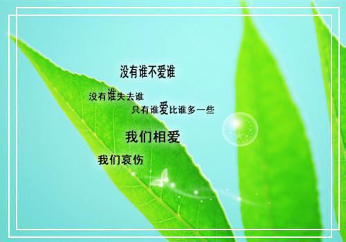 娇妻归来宝贝叫爹地叶唯陆霆琛全文阅读
