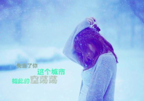 鉴宝开局一台万能显示器林浩秦思思完结版免费小说全文阅读