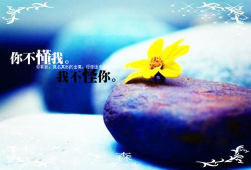 林念桃慕容离穿成一只小白狐小说全章节阅读