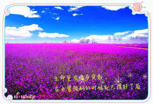 穿越后找国家爸爸做靠山成团宠全文免费阅读无弹窗-（阮软）穿越后找国家爸爸做靠山成团宠最新章节列表在线阅读